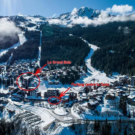 2 Pieces Pour 4 Pers. - La Tania, Idealement Situe Skis Aux Pieds, 31m², Balcon Est - Fr-1-182a-5 *