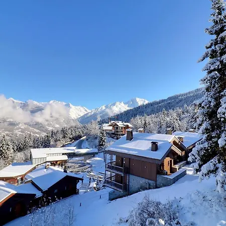 Apartmán 2 Pieces Confortables, Skis Aux Pieds, Proche Commerces, 4 Pers - Fr-1-182a-5 Courchevel